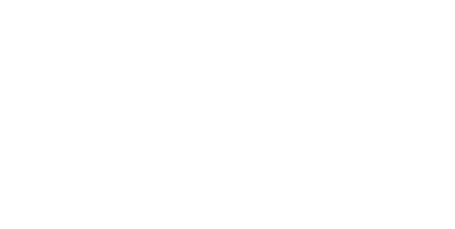 Logo CNS